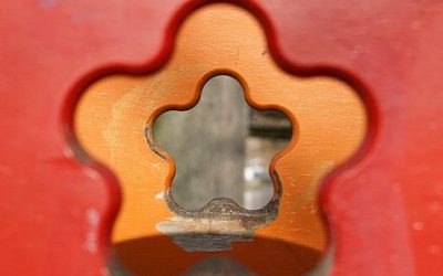 Ein Profi war auch nicht immer einer!