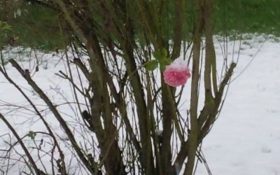 Wenn „höher, schneller, weiter!“ nicht mehr geht (Blogparade zum Unternehmertum)