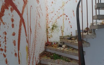 Wenn Steine Dich zum Weinen bringen