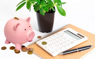 Tagesgeld, Sparbuch, Festgeld – Was ist der Unterschied?