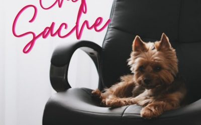 Warum Du die betriebliche Altersvorsorge zur Chefsache erklären solltest